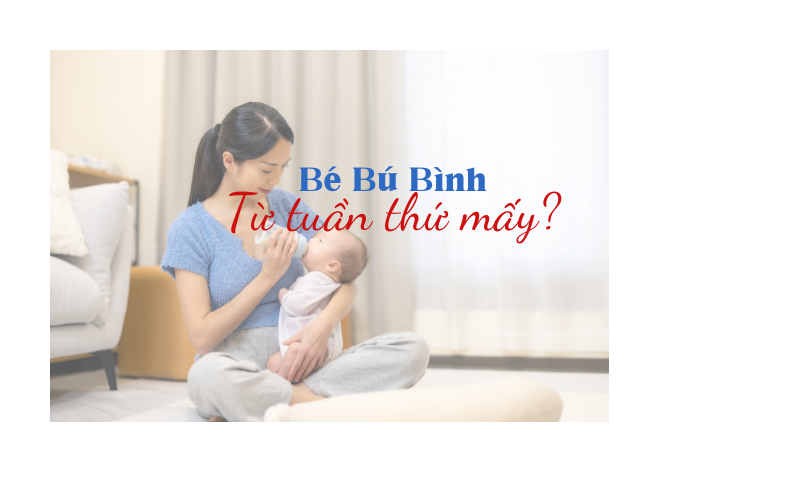 Thời Điểm Vàng Cho Bé Tập Bú Bình – Mẹ Nên Bắt Đầu Từ Tuần Thứ Mấy?