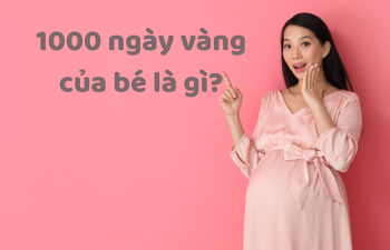 1000 Ngày Vàng Của Bé – Mẹ Đừng Bỏ Lỡ!