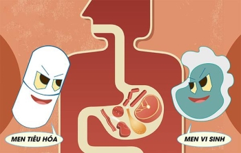 Men Vi Sinh và Men Tiêu Hóa: Sự Khác Biệt Quan Trọng Bạn Cần Biết